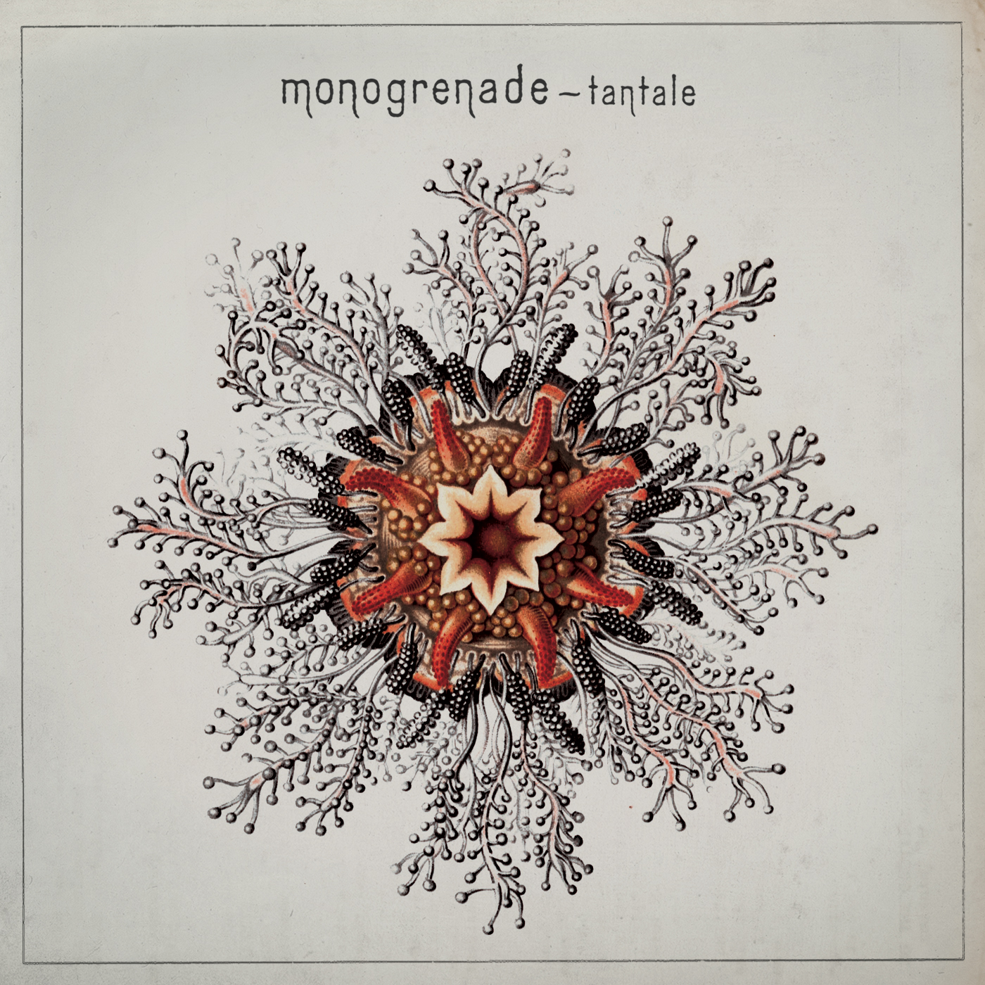 Monogrenade - Tantale