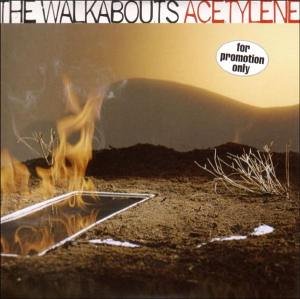The Walkabouts : Acetylene