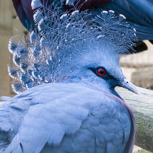 Séance de Rattrapage #149 - Mono, Christine Ott & Mathieu Gabry, Aske Vang