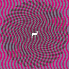 Deerhunter : Cryptograms