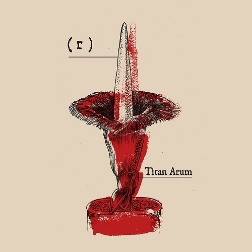 ( r ) - Titan Arum