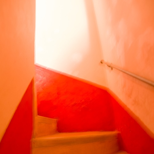 Séance de Rattrapage #150 - DMP, Lotti, Ô Lake