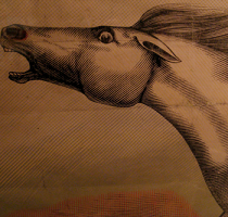 Julian Lynch - Mare