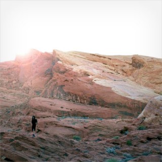 Tamaryn - The Waves